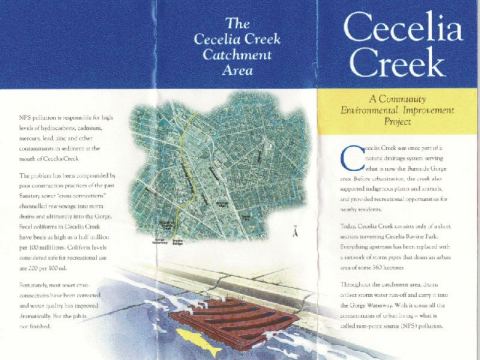 Cecelia Creek catchment area