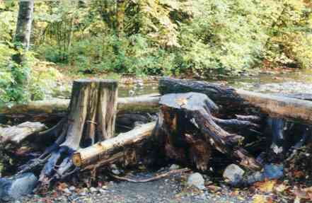 Lateral Log Jam